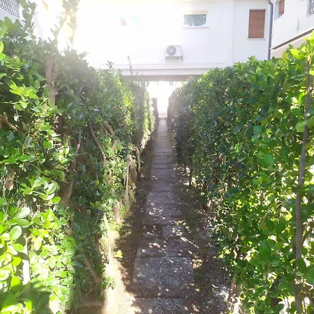 Apartment Apartment In Rosolina Mare 25013